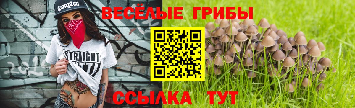 Искитим  Галлюциногенные грибы GOLDEN TEACHER  Псилоцибиновые грибы ЛСД  Вход с VPN 